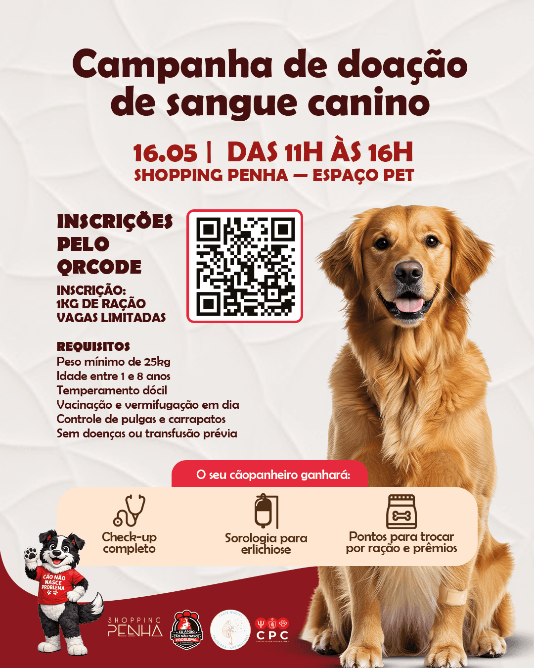 Doação de Sangue Canina no Shopping Penha